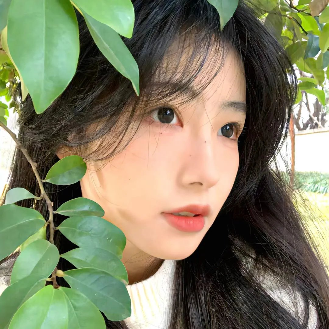 狂野之曲